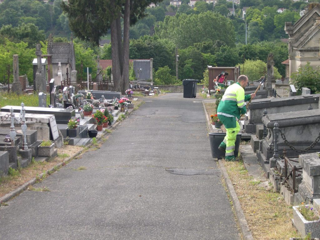 végétalisation du cimetière