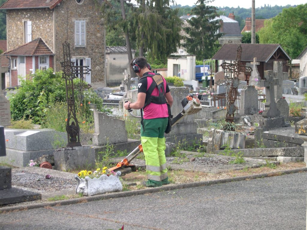 végétalisation du cimetière